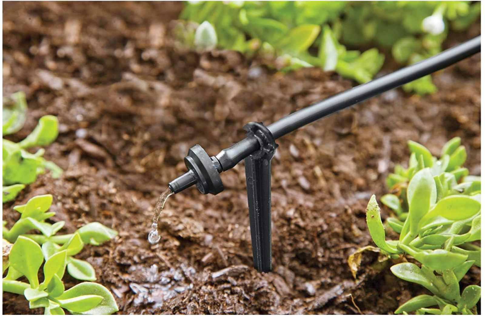 Raindrip R560DP Automatic Watering Kit for Container and Hanging Baskets, Water