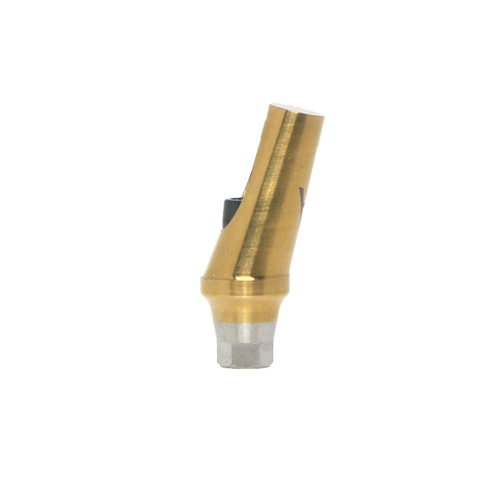 US 17° Angulated Abutment Regular Hex A/B Type For Osstem TS Regular Platform Ti