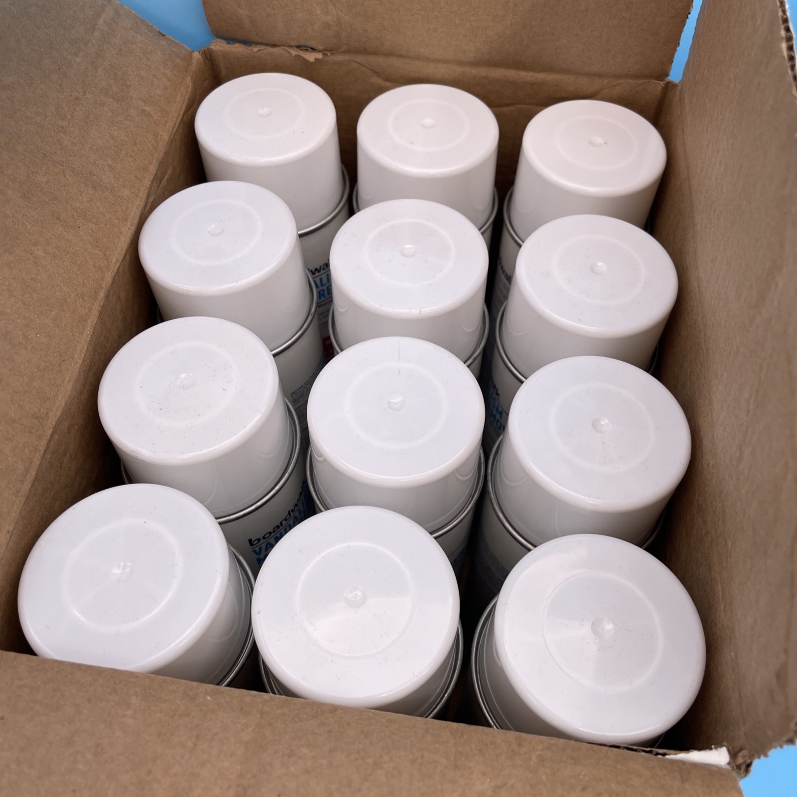 12 Pack Boardwalk BWK351ACT Vandalism Mark Remover, 16oz Aerosol New