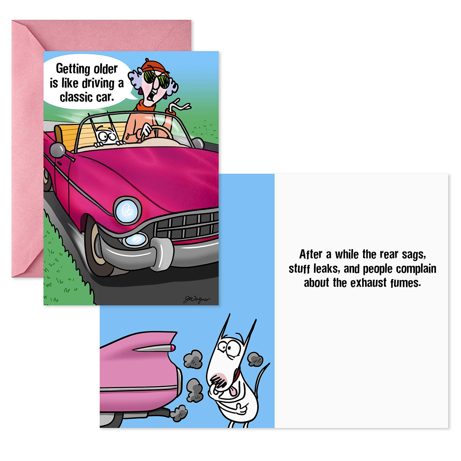 Hallmark Maxine Funny Birthday Cards Assortment 5 inches x 7.2 inches, Green