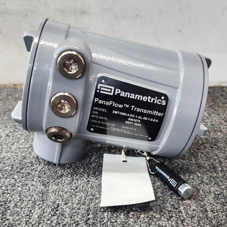 Panametrics Panaflow Transmitter, Model XMT1000
