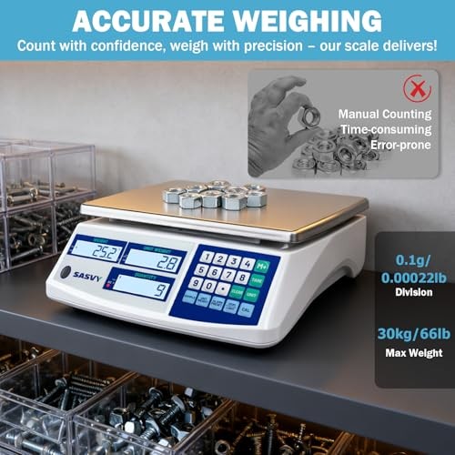 Industrial Counting Scale 66lb/30kg 0.1g Digital Parts Coins