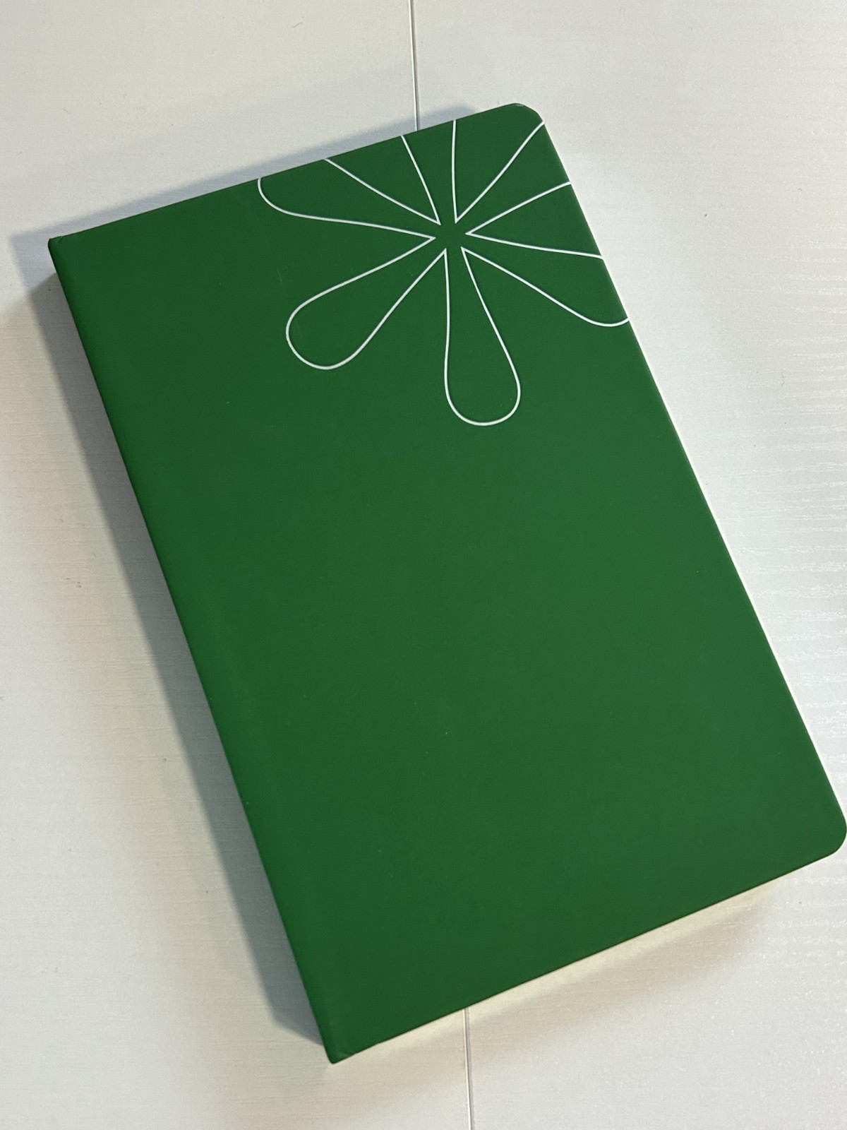 Erin Condren Take Note Classic Lined Notebook Hardcover Green New