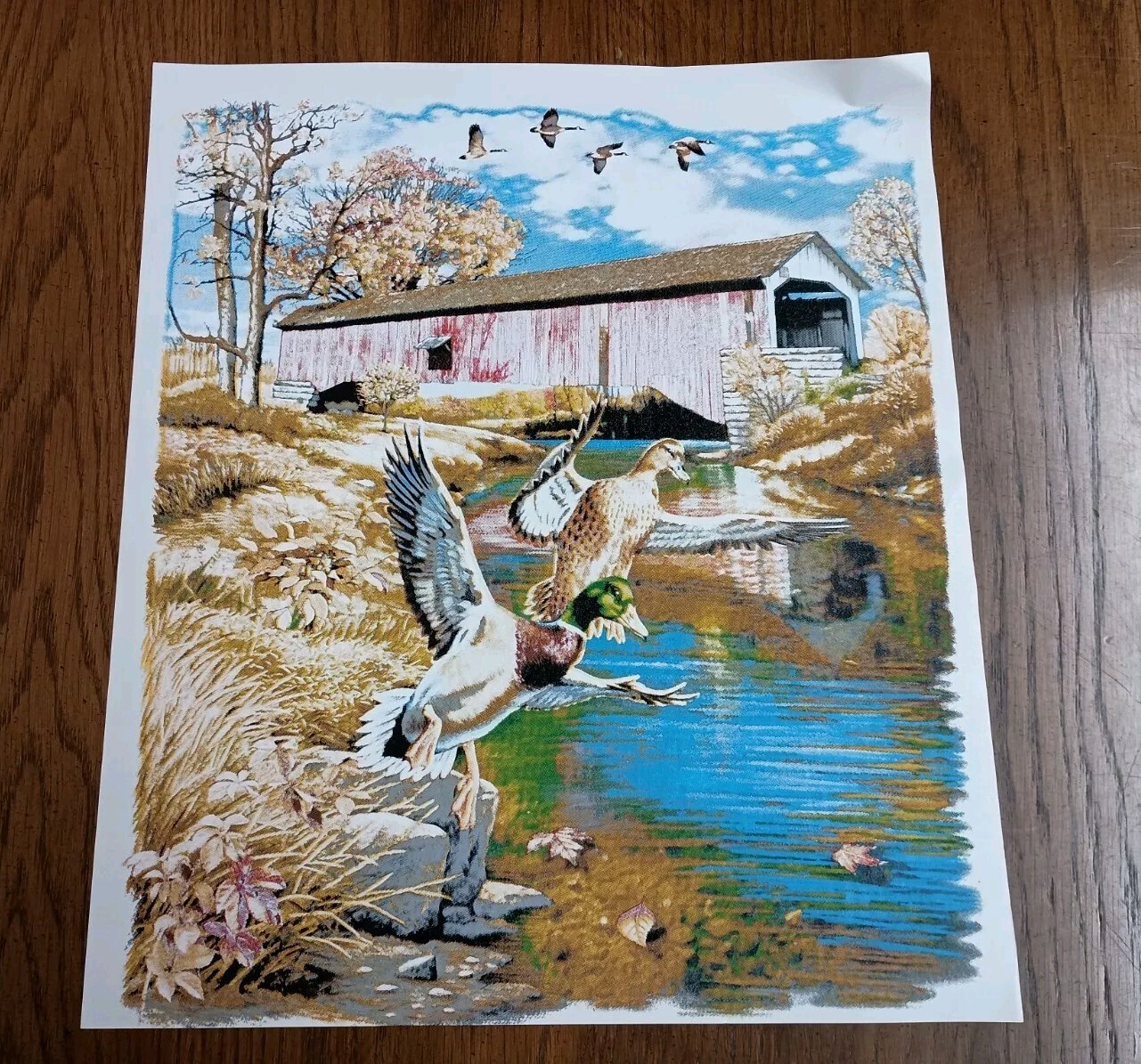 Authentic Vintage 90’s Covered Bridge Ducks Country Heat Transfer Iron On NOS