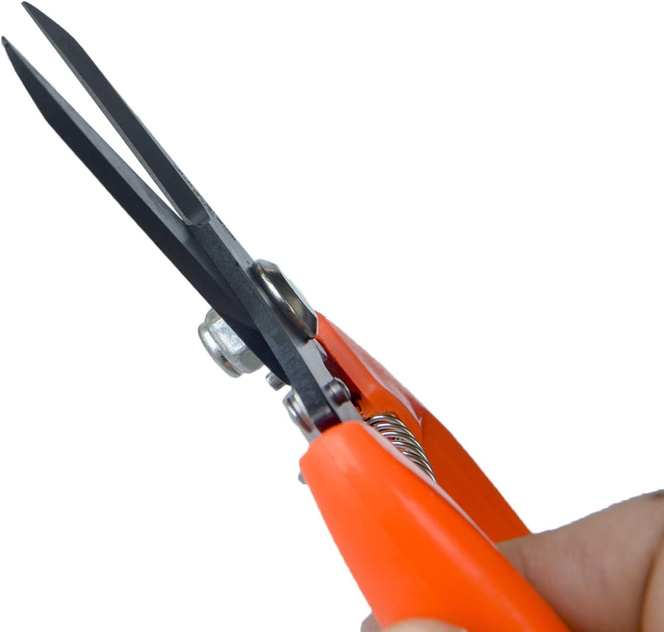 Goat Hoof Trimmer Foot Rot Trimming Shears Goats Nail Trimmers for Sheep Alpaca