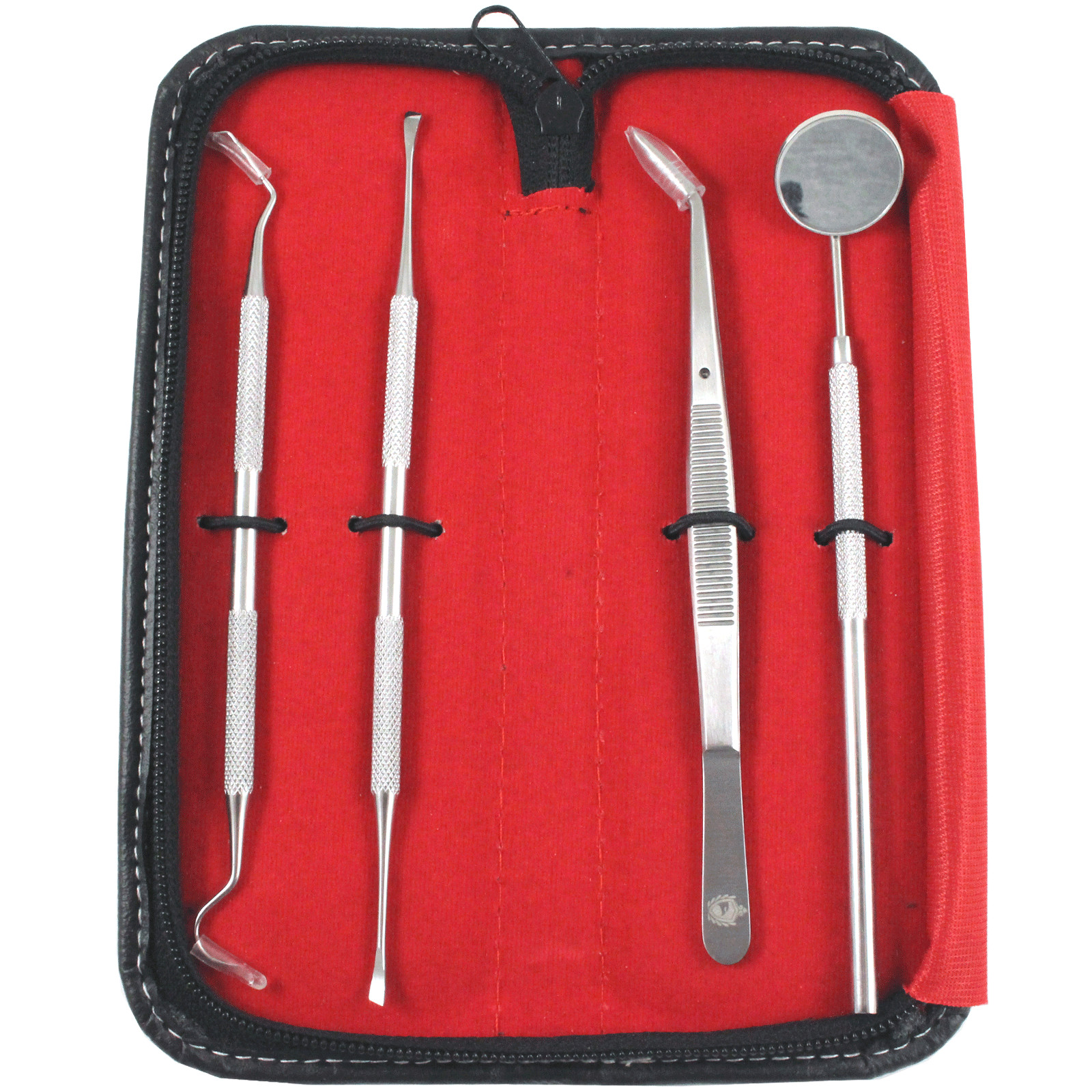 DENTAL DOG PETS TEETH CLEANING SET DENTIST SCRAPER TOOTH PICK ORAL CARE KIT 4 PC