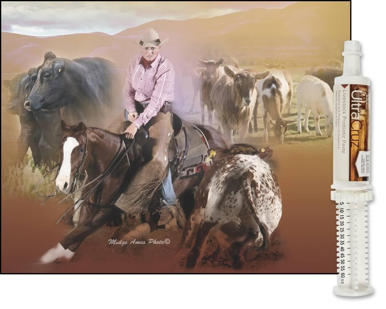 4 Day Supply Paste 60ml – Fast Relief, Easy Use, Effective Results