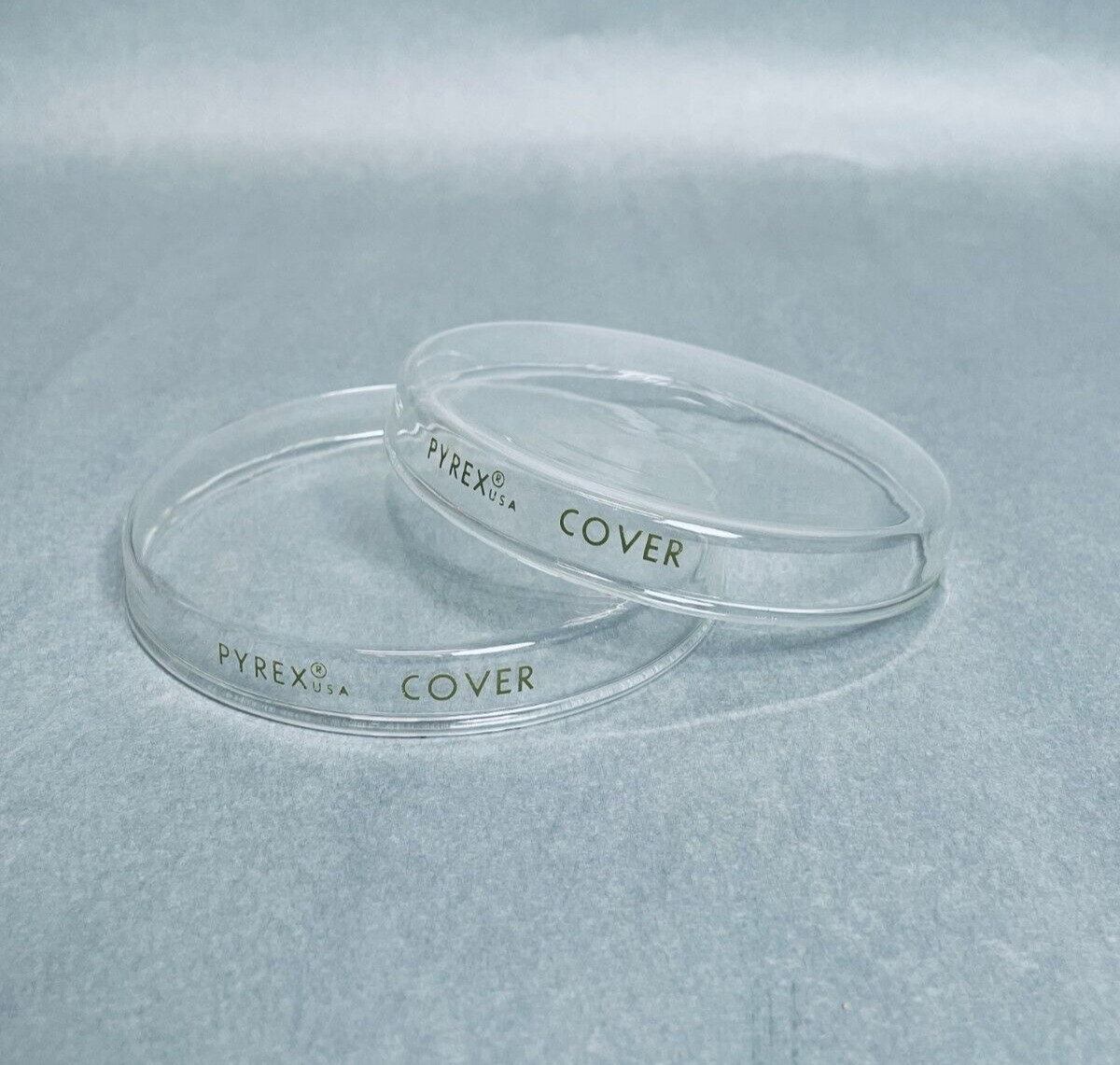 Corning Culture Dish Lid Glass 100 mm x 15 mm Total of 12 Lids