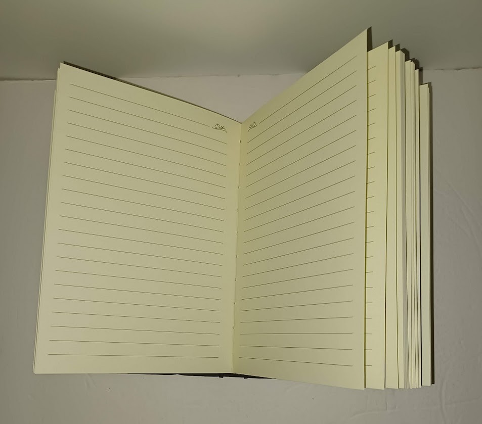 JOURNALS 2 Book Lot Set Markings Line Ruled Diary Pages Diaries Writing Thoughts