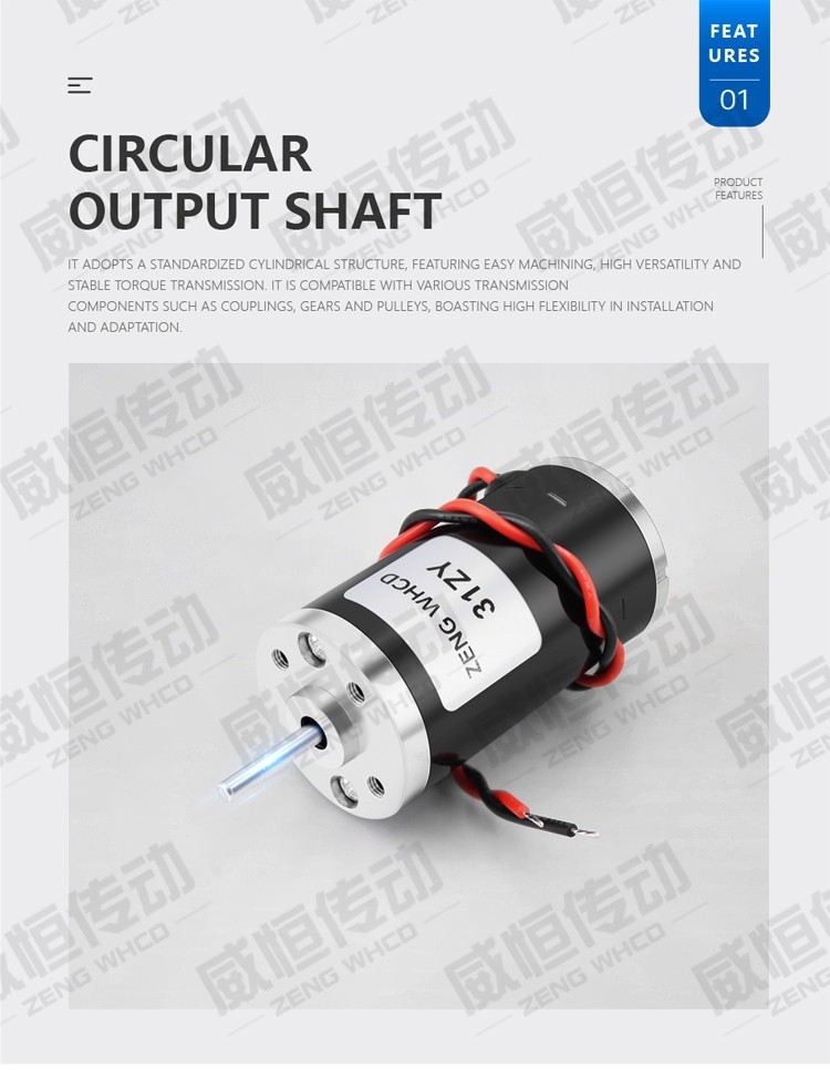 31ZY Permanent Magnet DC Carbon Brush Motor with High Speed ​​4000RPM~8000RPM
