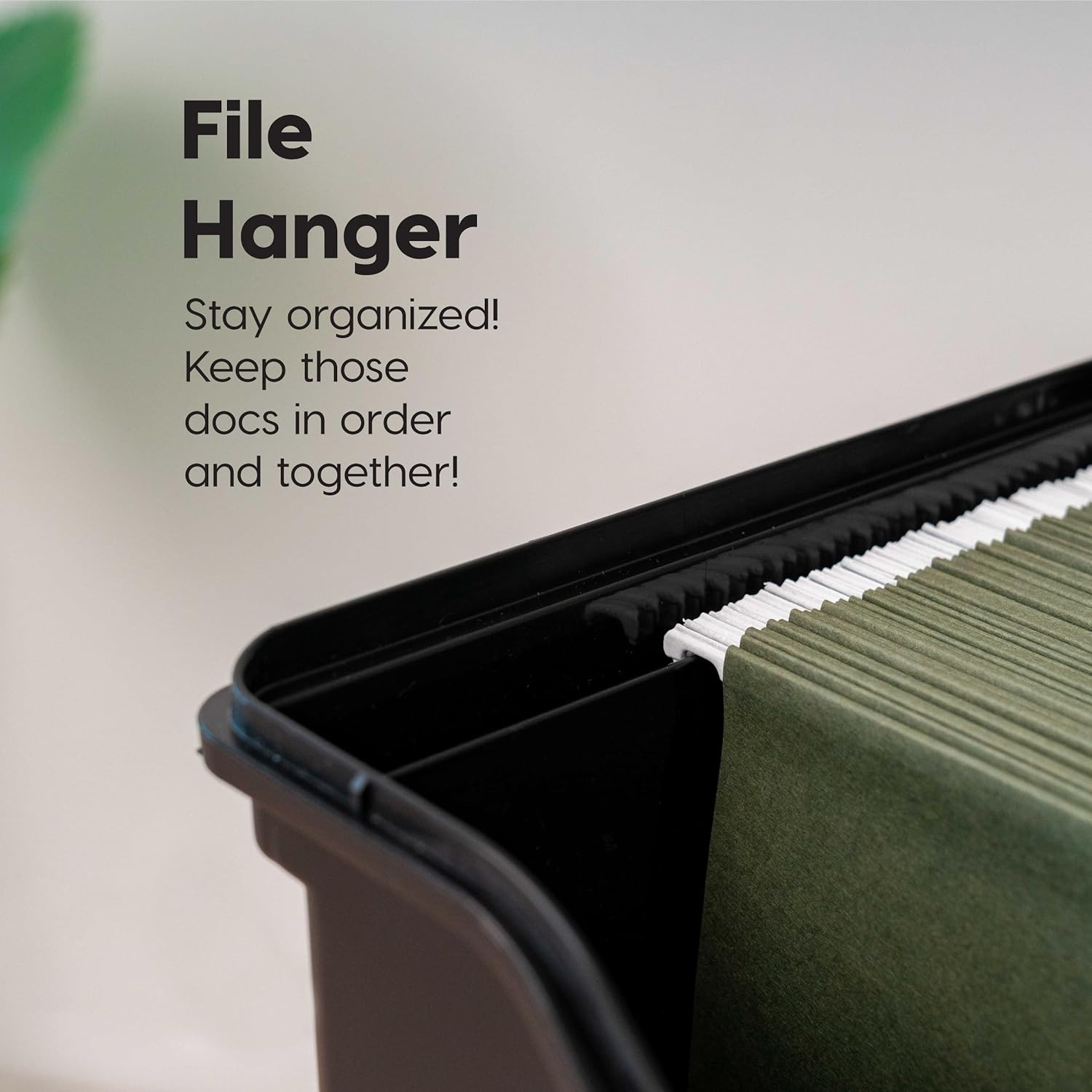 IRIS USA File Box with Lid File Organizer for Letter File W/Organizer-Lid, Plast