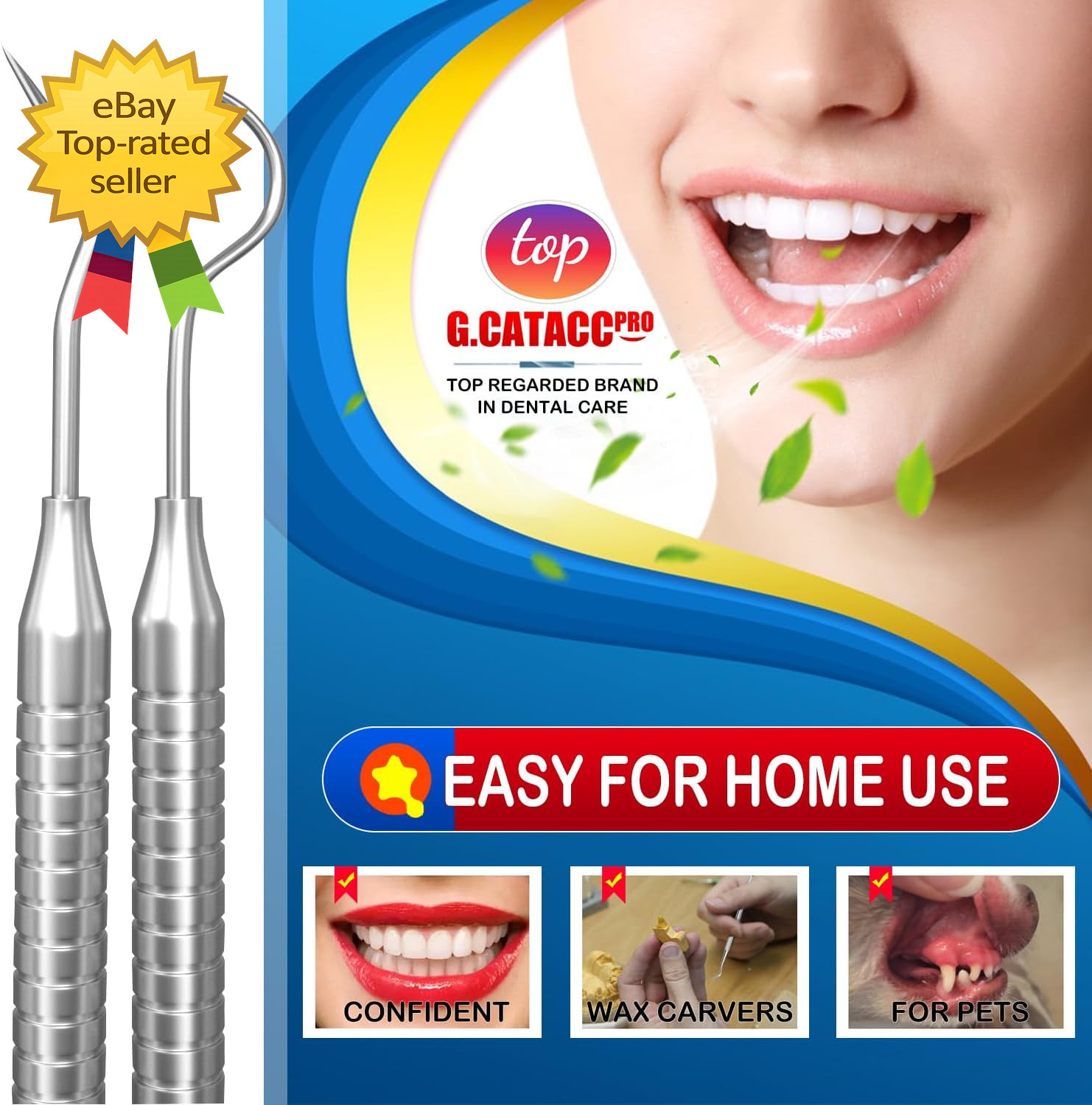 Dental Tools, Dental Pick for Teeth Cleaning, Stainless Steel Hygiene Kit