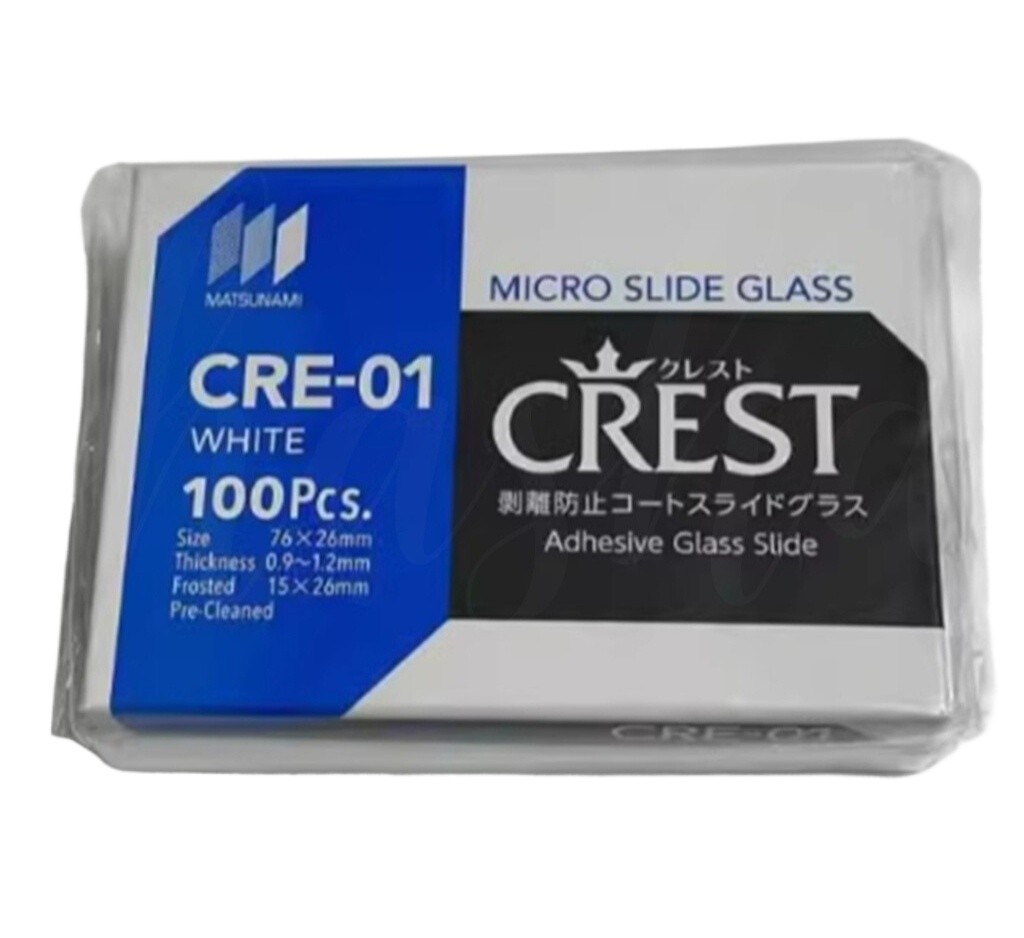 A Box of 100 pcs Immunohistochemistry Adhesion Antidetachment Slides CRE-11