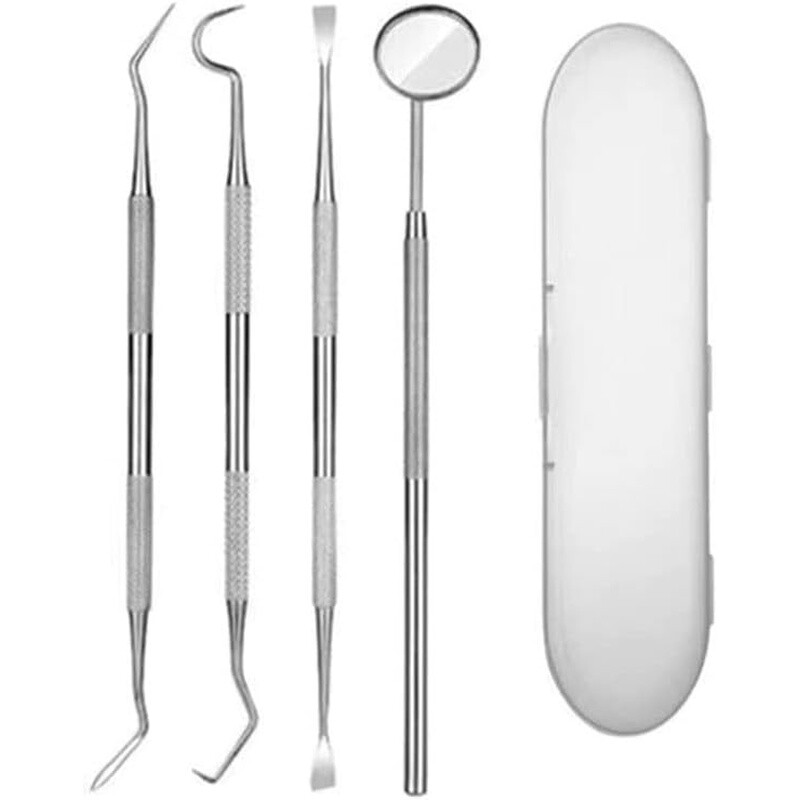 4PCS Dental Tools Set Stainless Steel Dental Picks Teeth Cleaning Kit W/ Case US