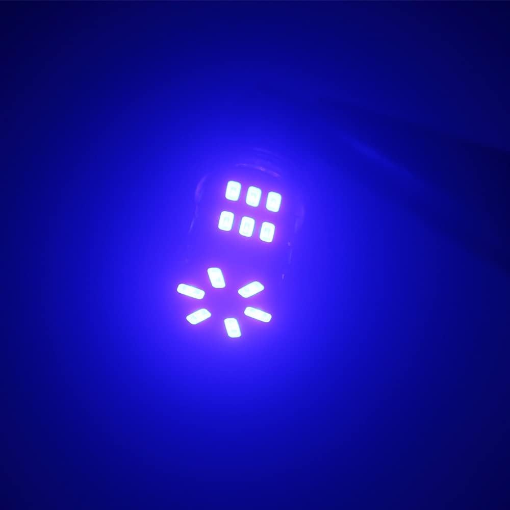 6-Pack 3014 30SMD Blue LEDS BA9 BA9S 53 57 1895 1445 17053 64111 L Color: Blue