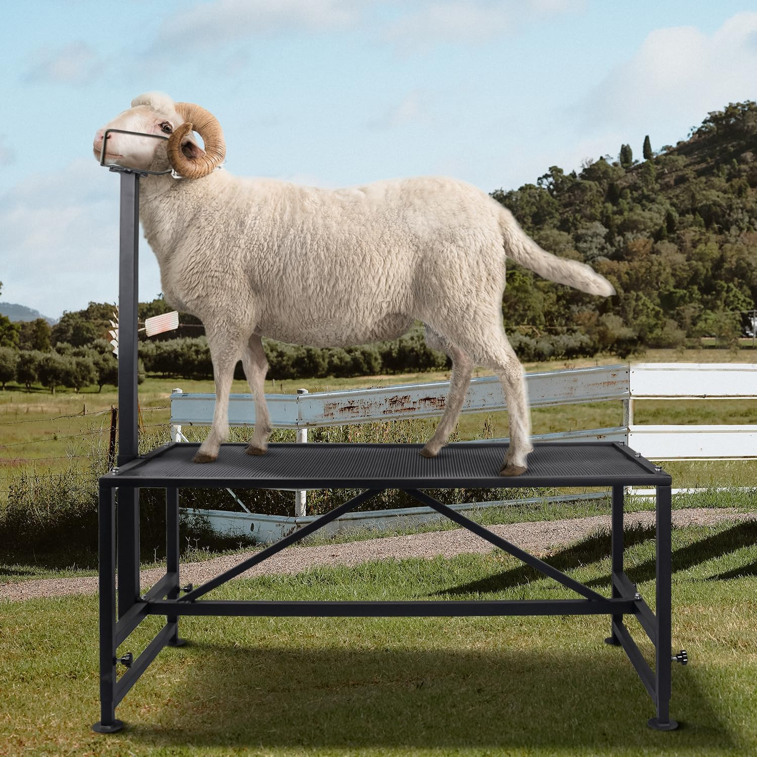 Goat Milking Stand 600Lbs Goat Stand Sheep Stand for Trimming Metal Livestock St