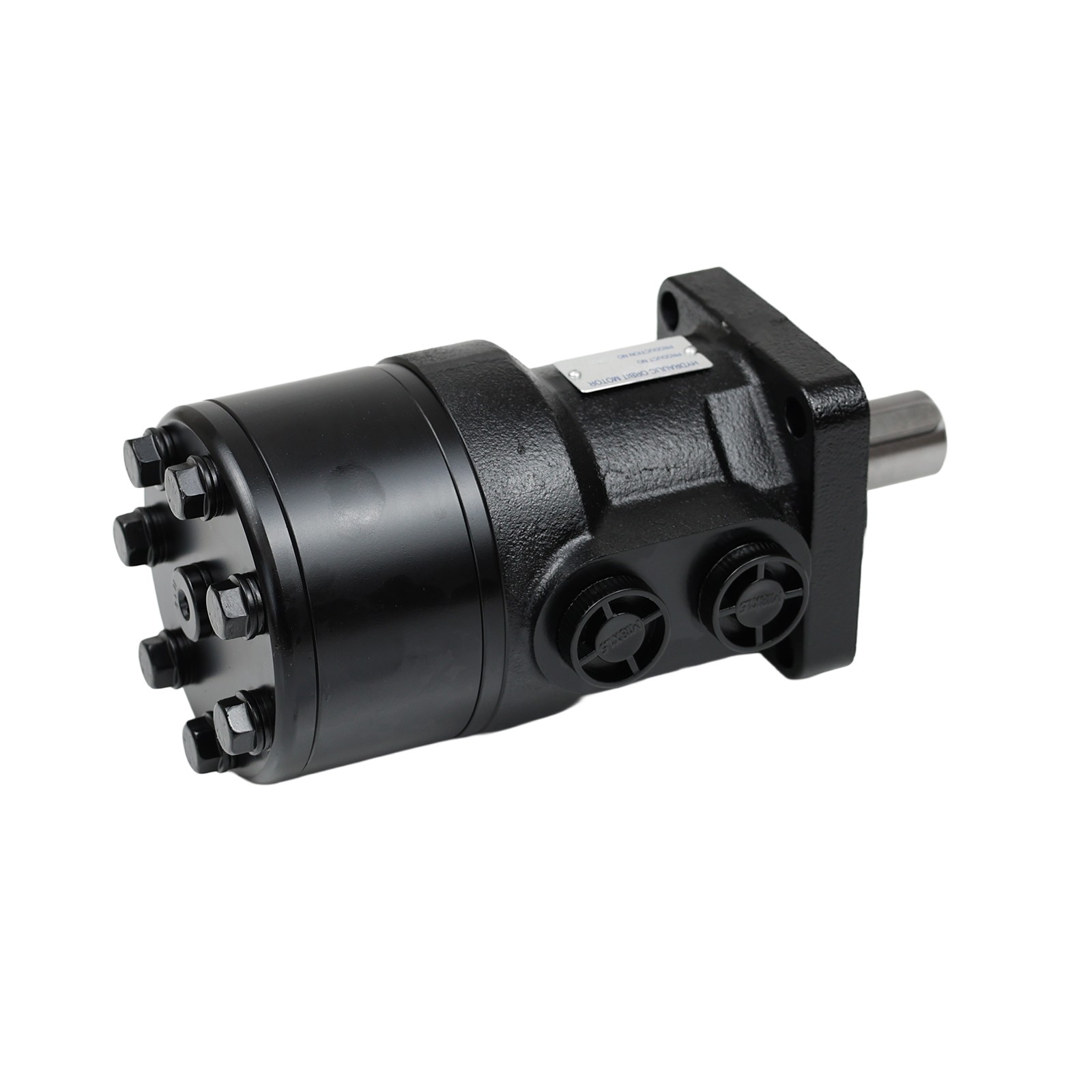 Swing Motor BM2-CJT-250 BM2CJT250 For Mini Excavator AGT-12S