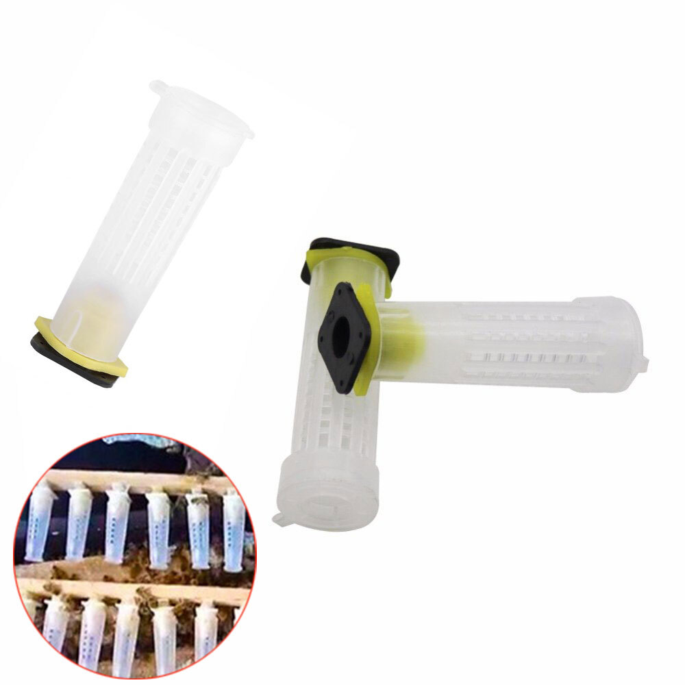 1 Set Bees Tools Cages King Queen Apicultura Kit Complete Nicot cage Cups Cell^