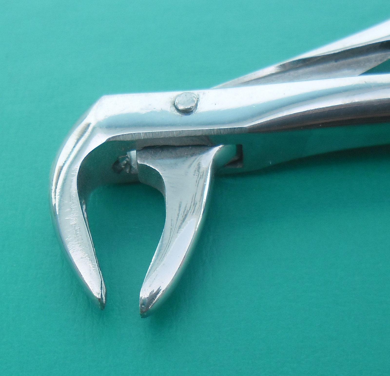 Klein Extracting Forceps # 137 English Pattern Dental