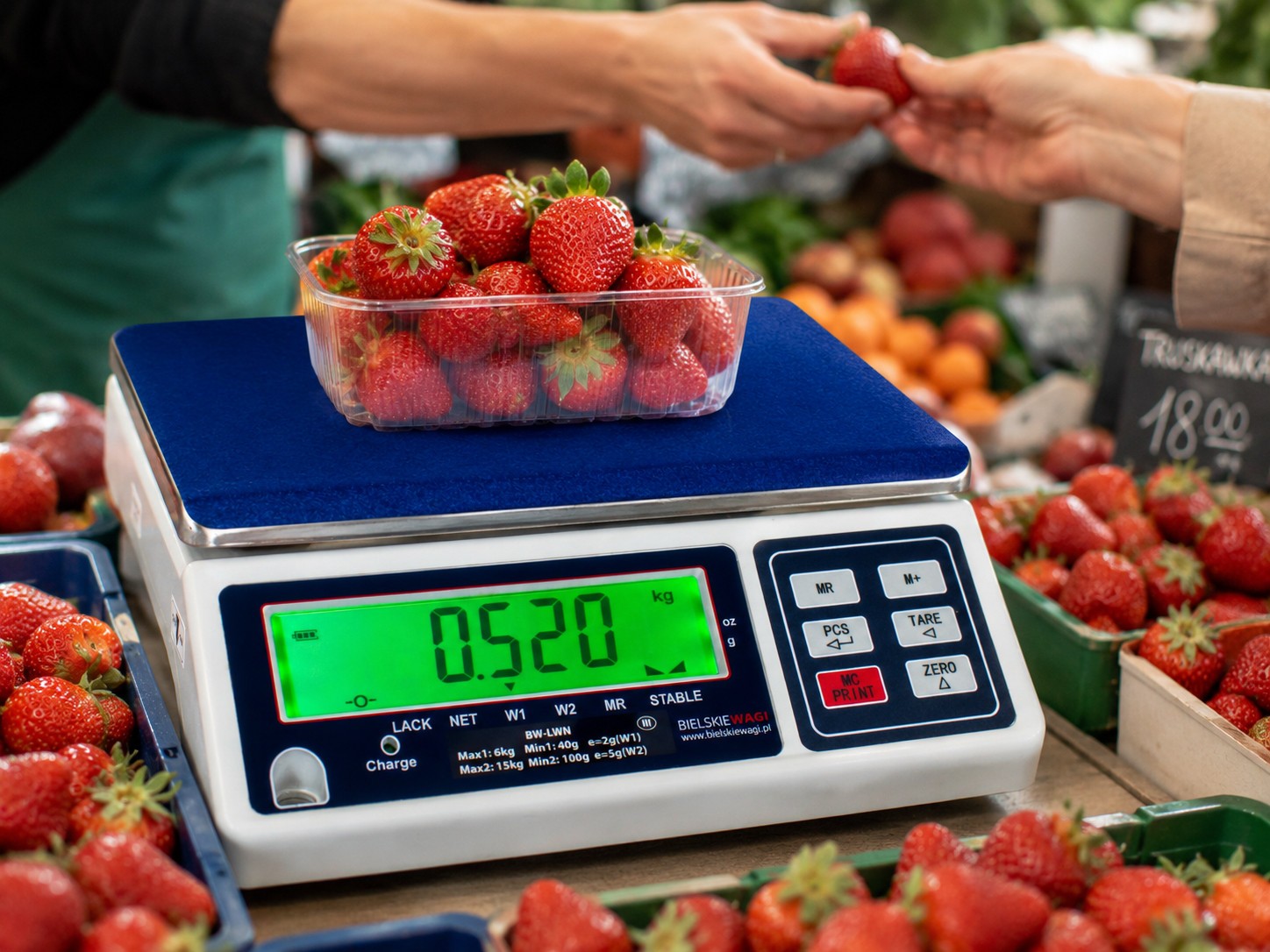 Calibrated Shipping Scales Storage Scales Parcel Scales Scales 15/30 kg Market Scales Shop Scales