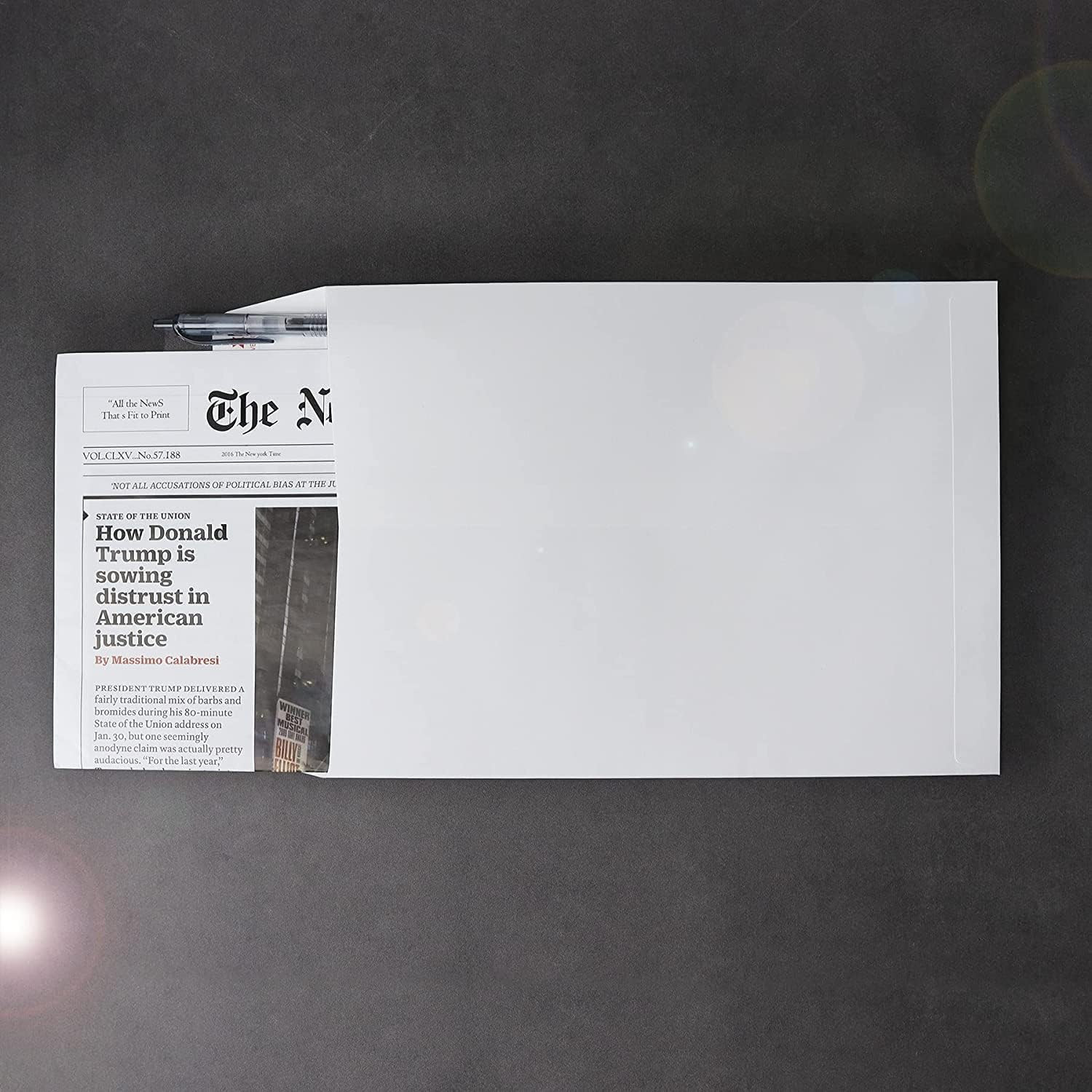 120 PCS 6X9 Inches Security Catalog Envelopes Printable Self Seal Envelopes, ant