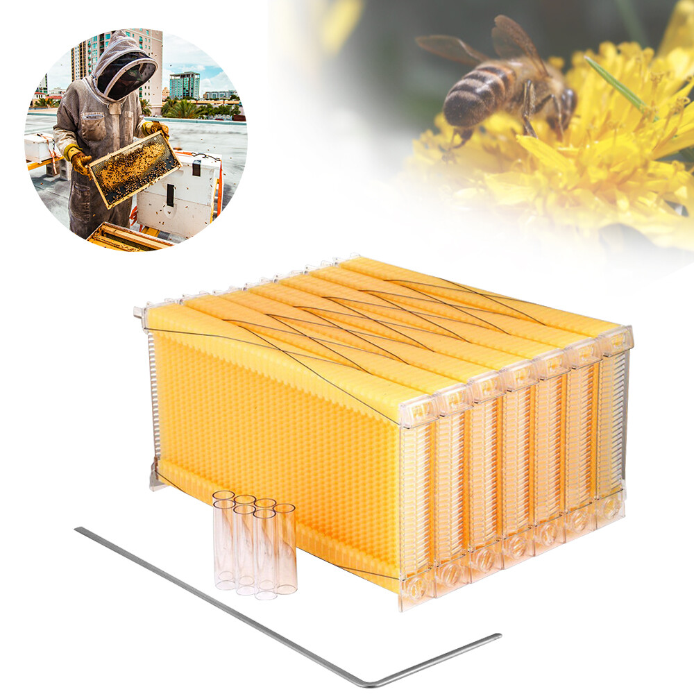 7pcs Auto Oozing Beehives Beekeeping Frames Honey Comb Frames Bee Frames
