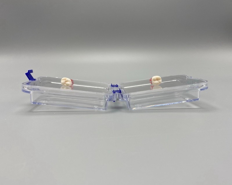 10x Denture False Inlay Teeth Membrane Case Hinged Display Jewelry Box 10x10x4cm