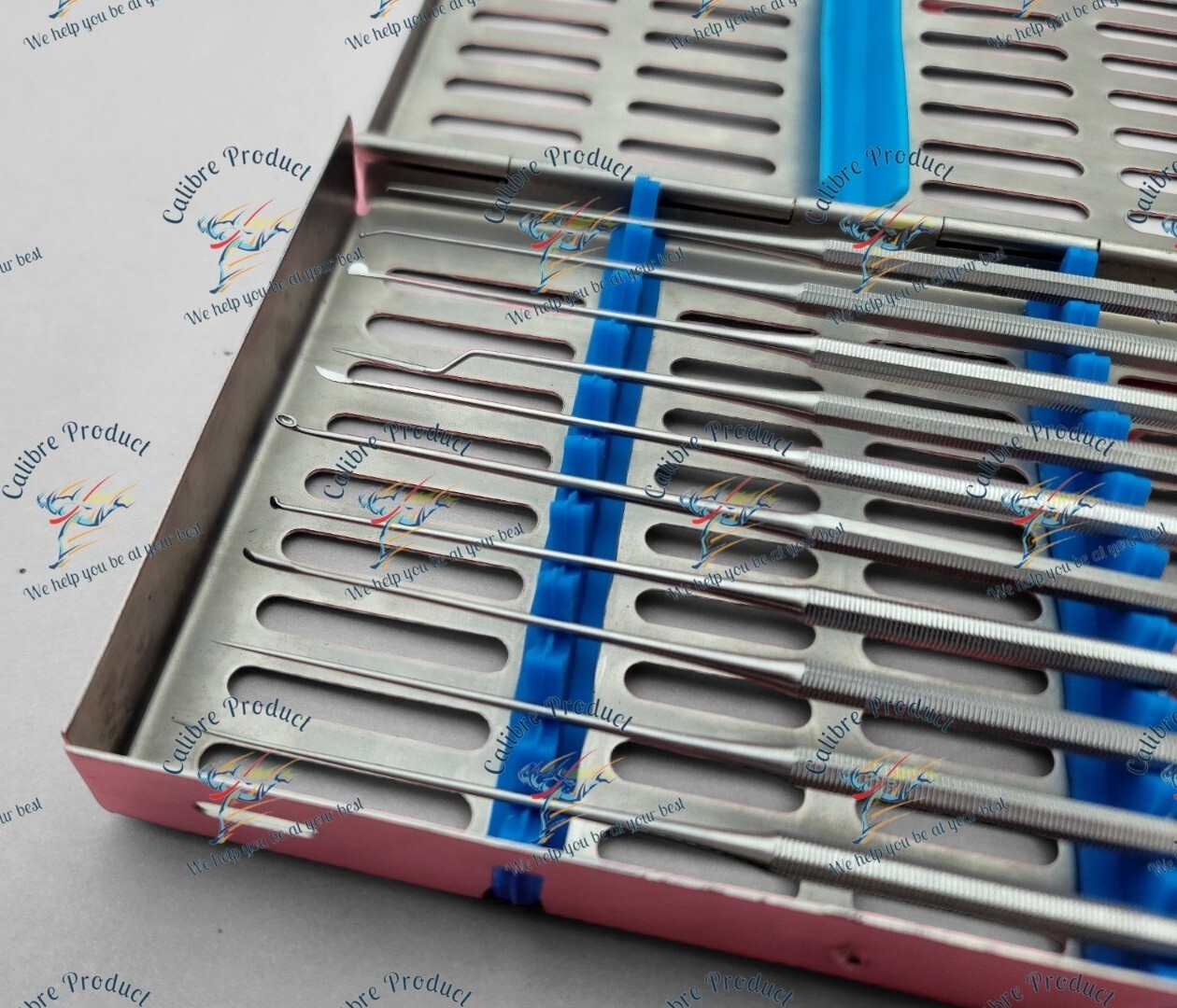 Shea Ear Operation Micro Repositor Set of 10 Pcs Surgical-ENT With Sterlize Box