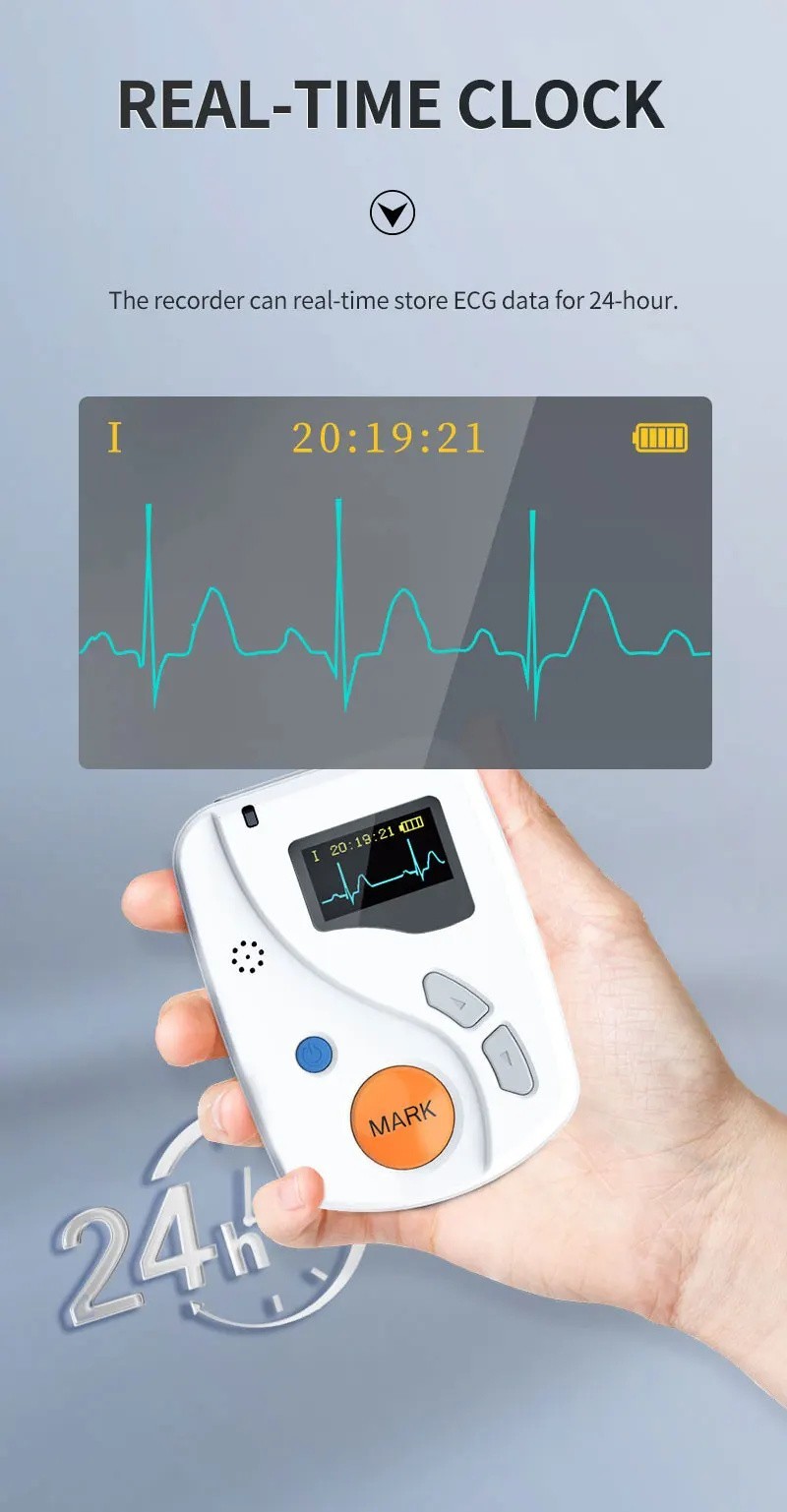 24 Hours Dynamic ECG Systems 12 Channel EKG Monitor ECG holter Recorder Software