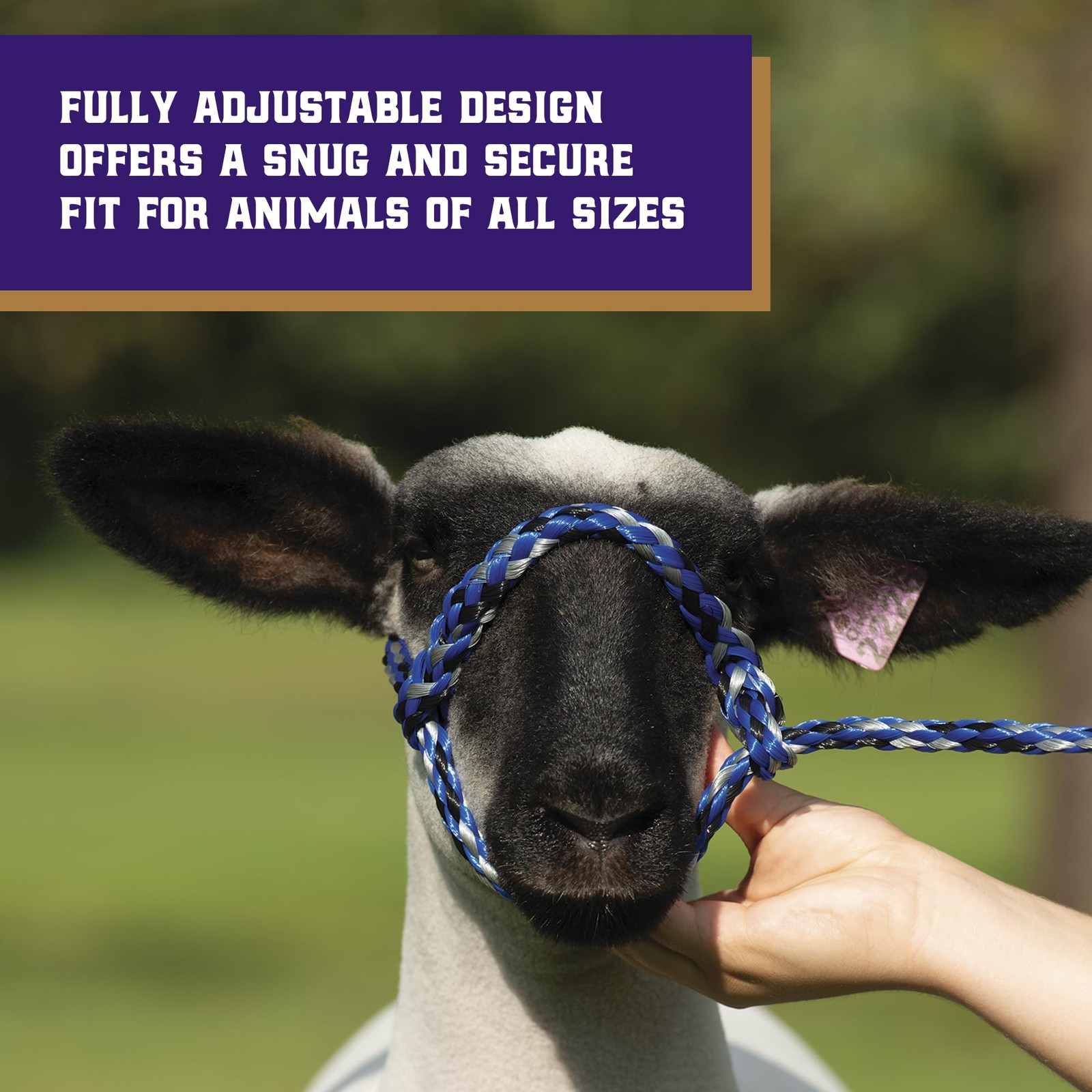 Weaver Livestock Poly Rope Sheep Halter, Modern Style Braid 7/16″ x 4′, Blue