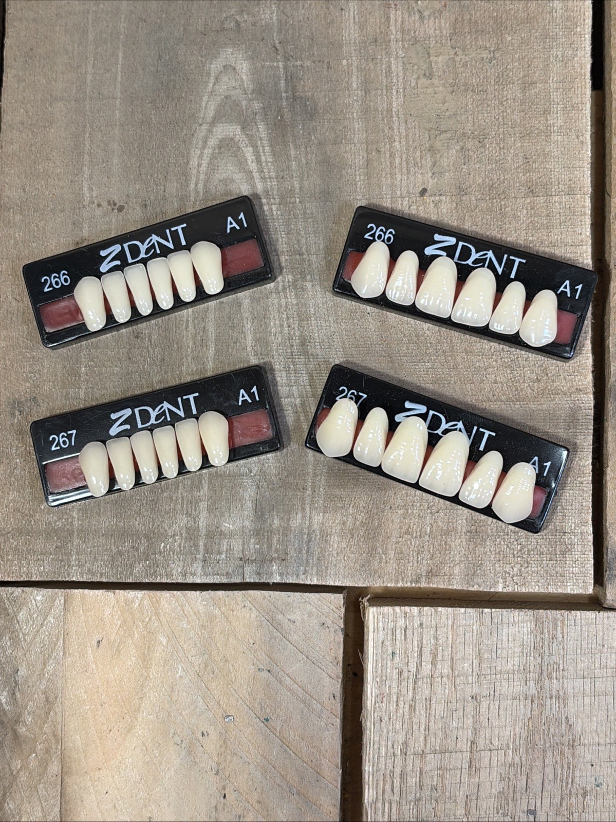 Z dent Synthetic Polymer False Teeth 2 Sets of 12 for 24 Total Size 266 267 A1