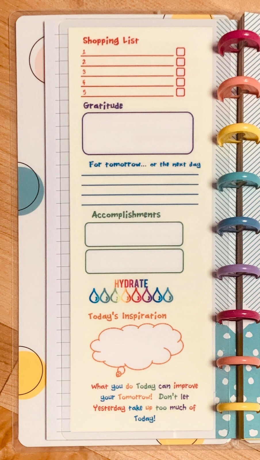 Today’s Plan of Action Dashboard Insert for use with Half size HP Notebook