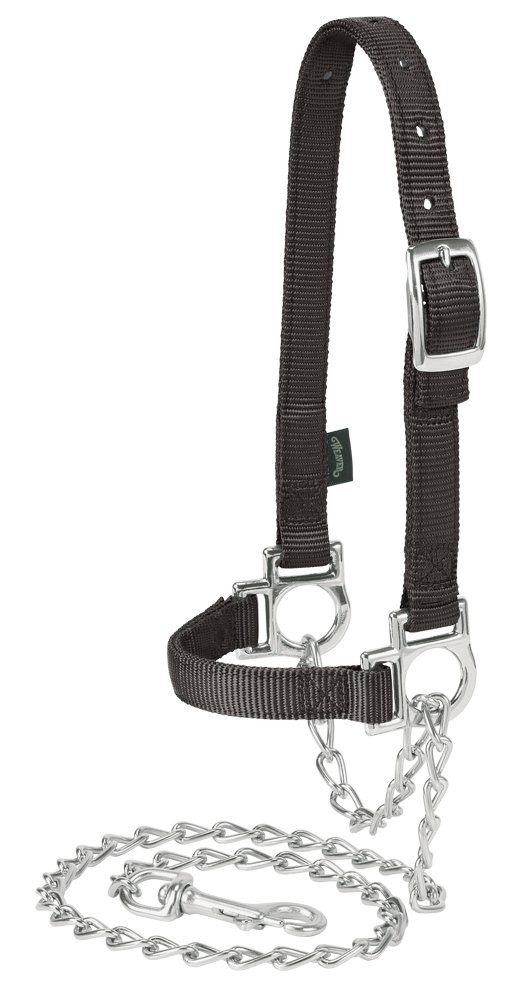 Weaver Livestock Weaver Leather Livestock Nylon Adjustable Sheep Halter Chain