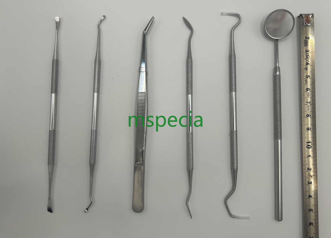 Dental Pick Set 6 PCS – Stainless Steel Dental Tools Kit Teeth Cleaning Tool