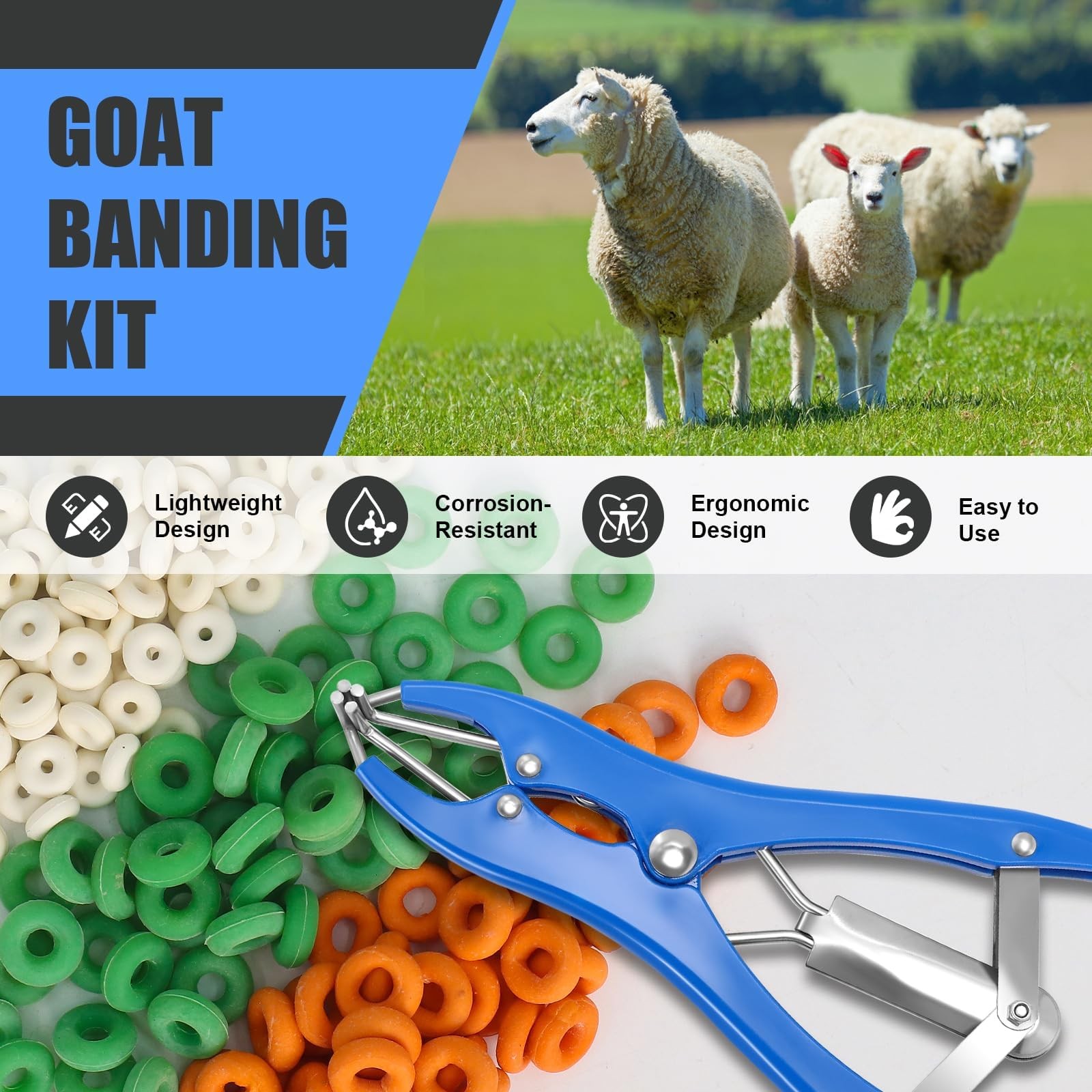 Goat Banding Kit, Stainless Steel Elastrator with 200pcs 3-Size Small, Blue