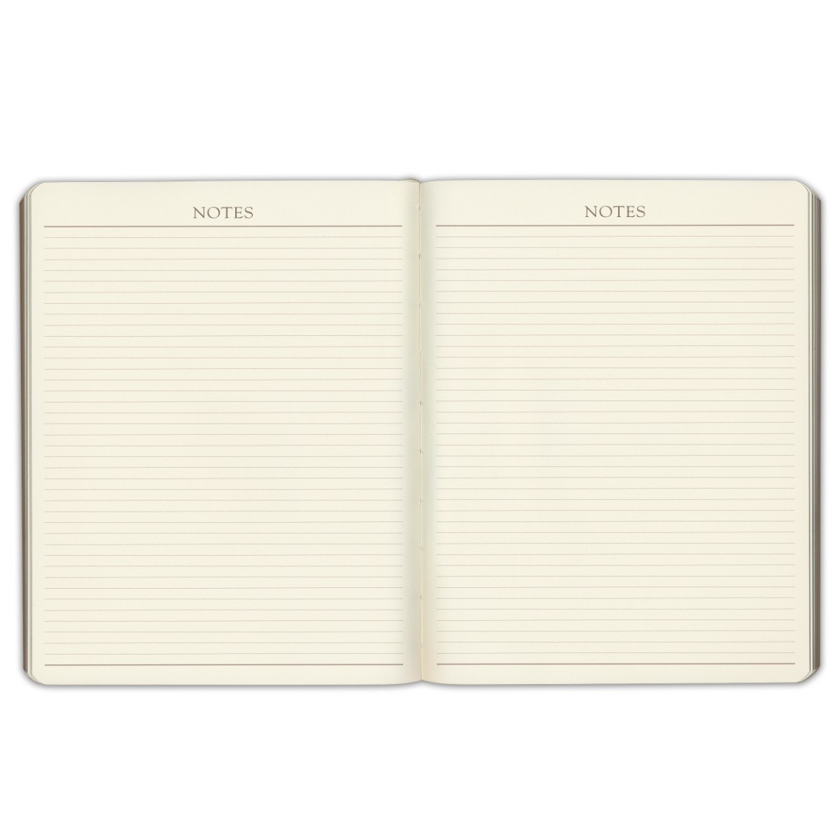 Gallery Leather Professional Weekly Monthly Planner 2026, Elegantly Bound Cal…