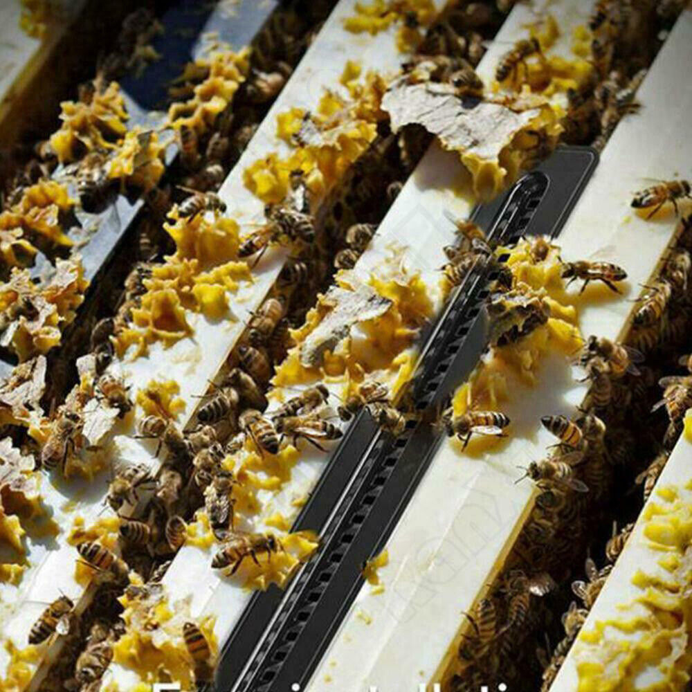 10X Plastic Small Bee Hive Beetle Blaster BeeHive Beetle Trap Beekeeping Tools