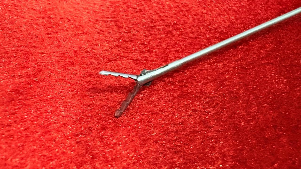 Hysteroscopy Alligator 5fr 40cm Semi Rigid Type Fyber Handle Best Quality Reuse