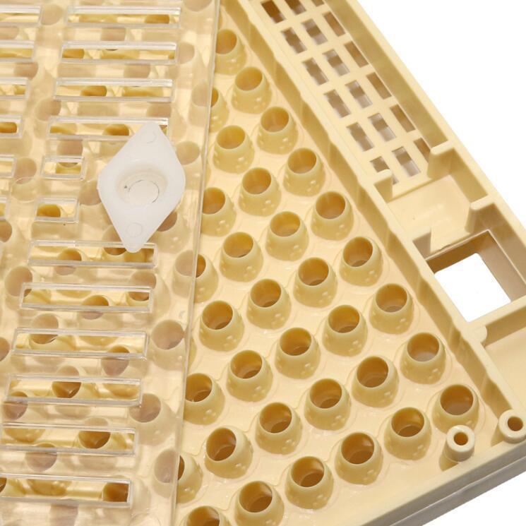 New Nicot-20 Queen rearing kit, Queen bee raising system, Queen bee breeding set