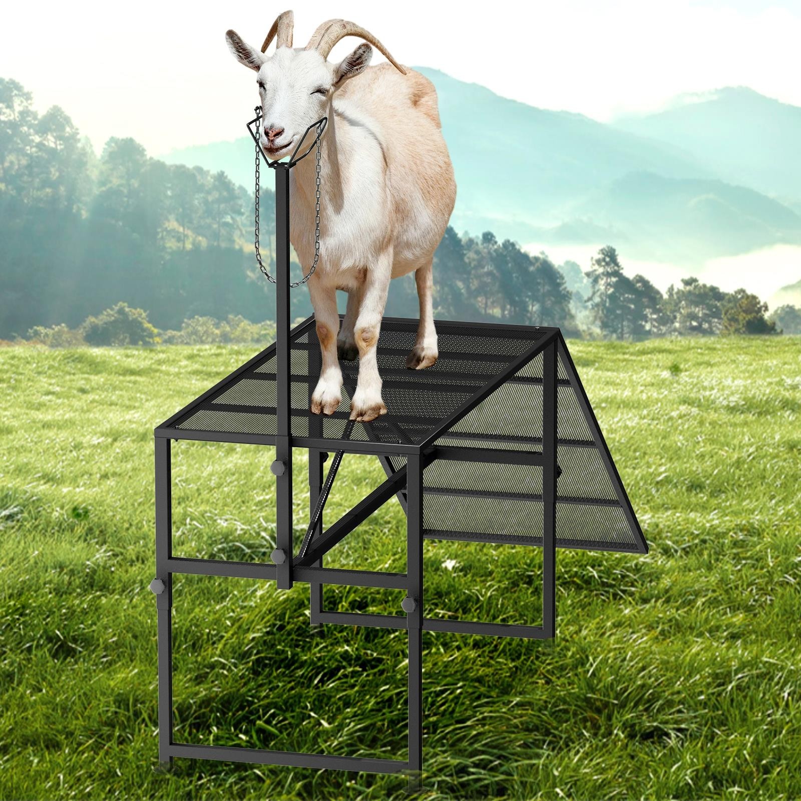 Foldable Goat Stand with Ramp 47 × 23in Livestock Trimming Milking Stand 500Lbs