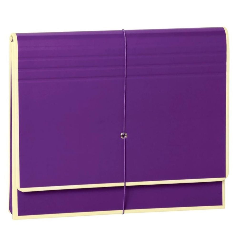 The Accordion (Plum)