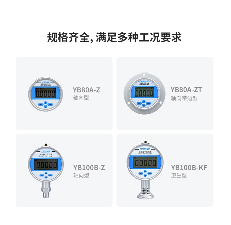 YB-80A Digital Pressure Gauge Peak Memory Positive Negative