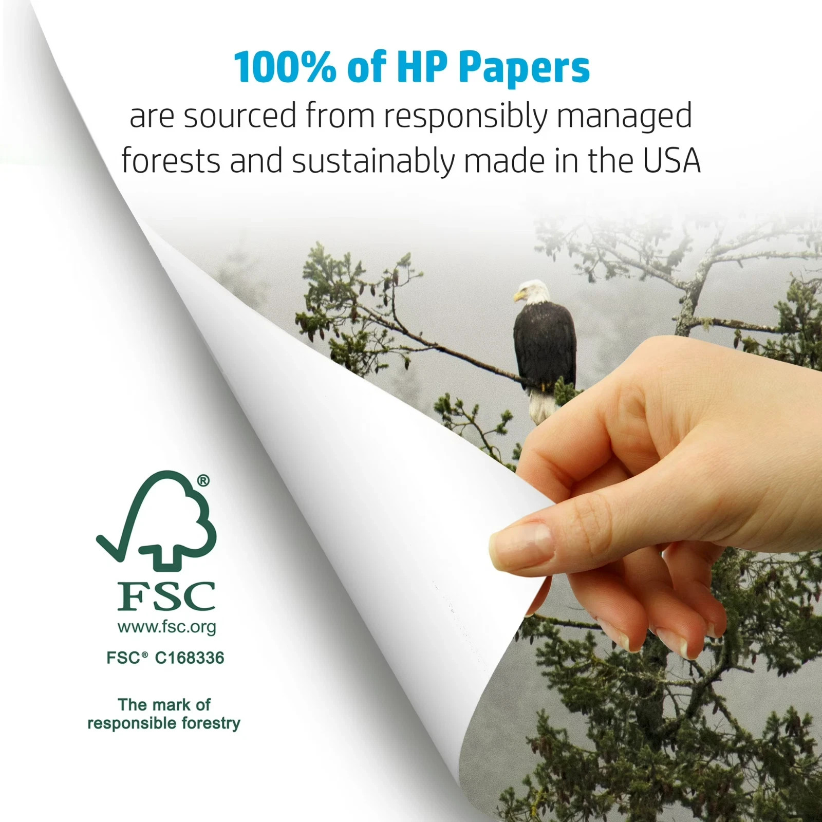 HP Printer Paper | 8.5 x 11 Paper | Copy &Print 20 lb | 1 Ream Case – 500 Sheets