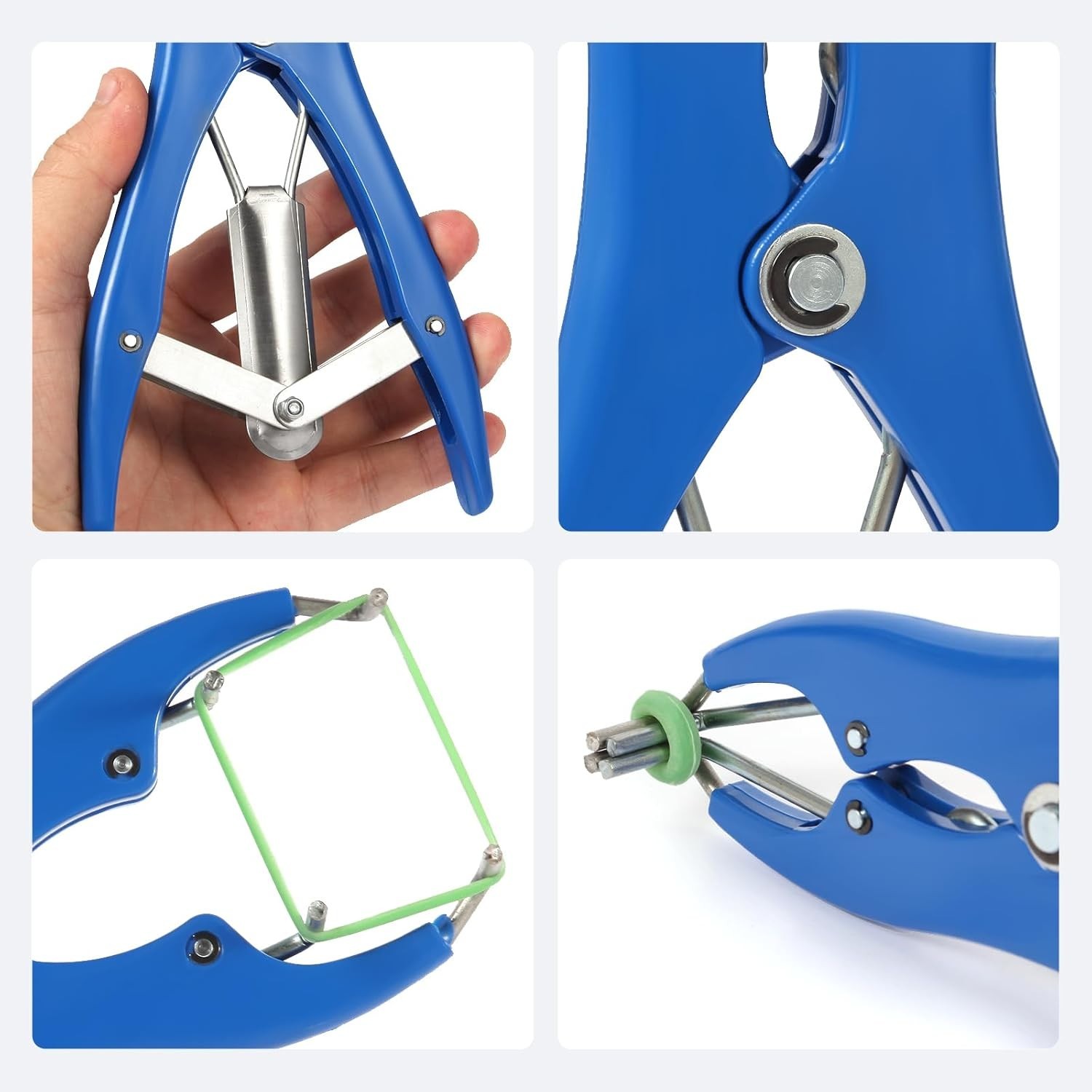 Goat Banding Kit Stainless Steel Bander Tool + 100 Castration Rings Livestock