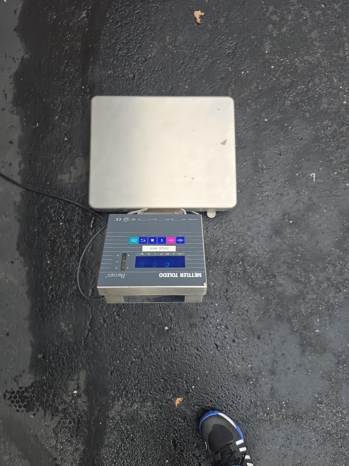 Mettler Toledo Panther PTPN 1000 Terminal w/ GB150P000 150kg/300lb 20″x16″ Scale