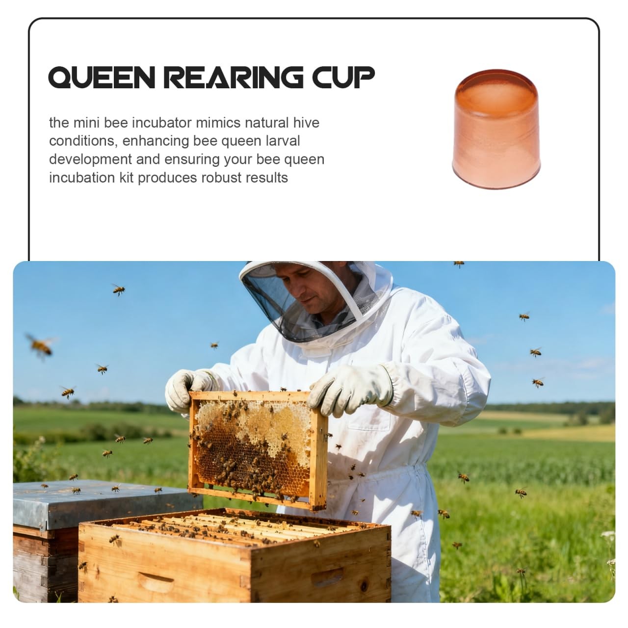 Queen Rearing Cupsk, 2000 Pack Plastic Bee Breeding Cups for Queen Cell Reari…
