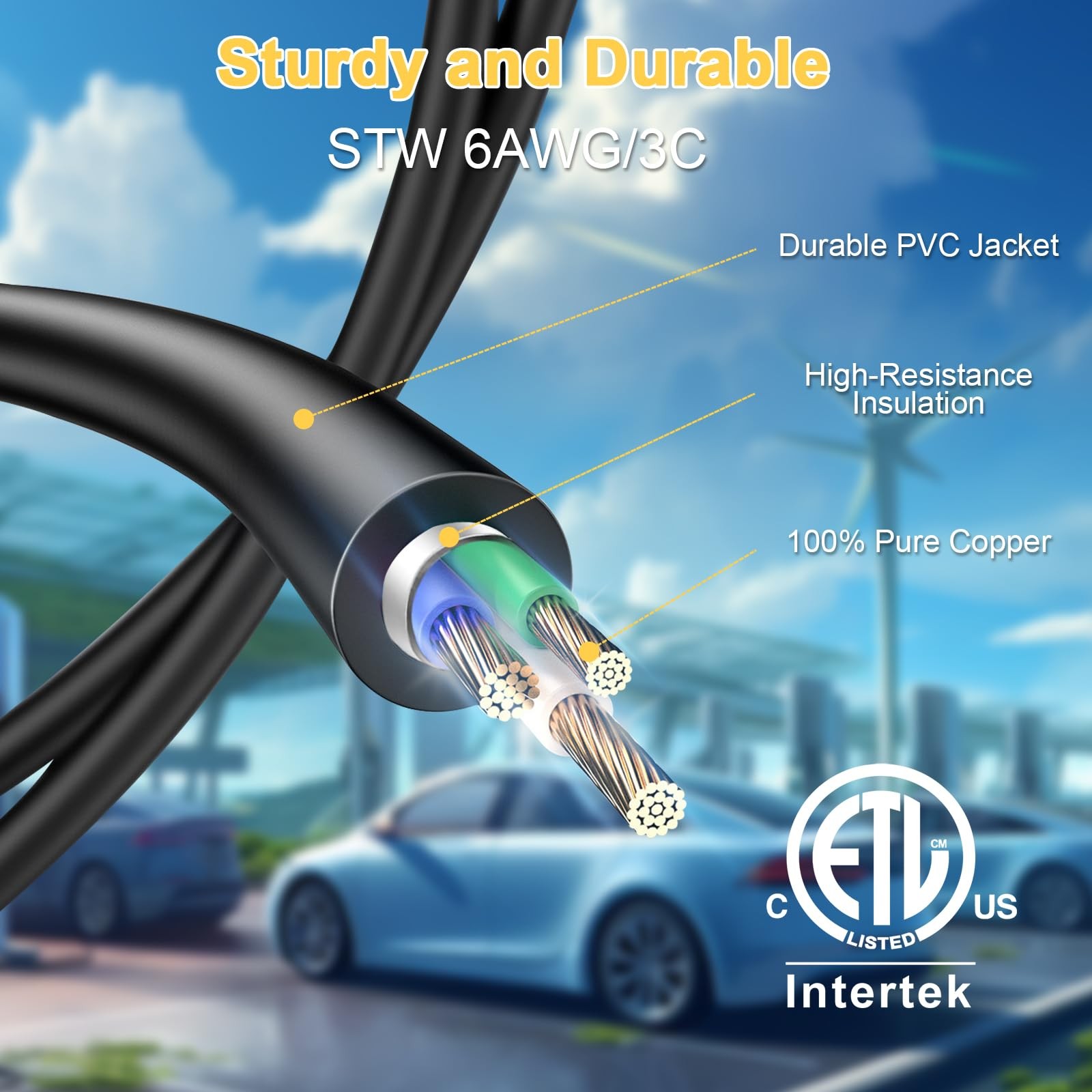 NEMA 6-50P to 14-50R EV Charger Adapter Cord, STW 6AWG 50 Amp 125V/250 Volts,…