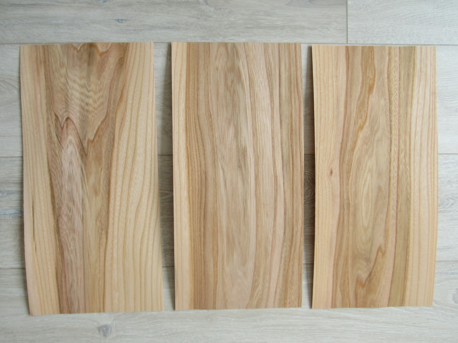 Elm wood veneer, 3 veneer sheets, ~18.1 x 8.26″ (46 x 21 cm) ~0.6 mm (~1/42″)