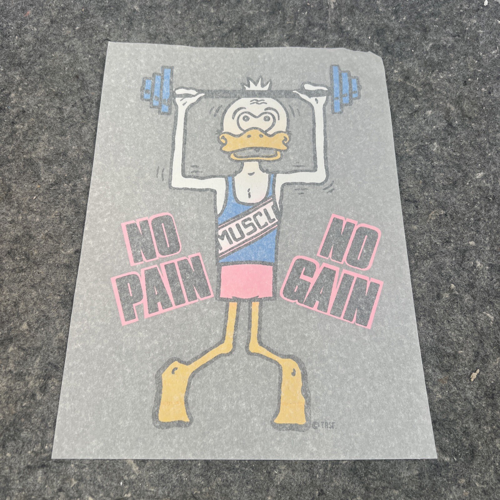 VTG 1980’s Neon «No Pain No Gain» Muscle Lifting Duck Iron On Transfer ~11″ x7″