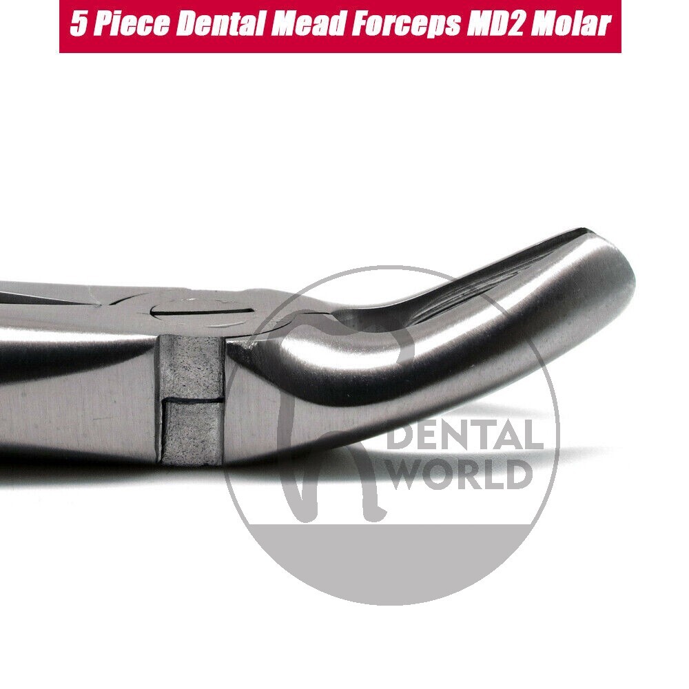 5 Pcs Dental Mead Forceps MD2 Molar Tooth Extracting Surgical Instruments